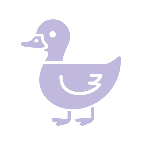 Duck icon.
